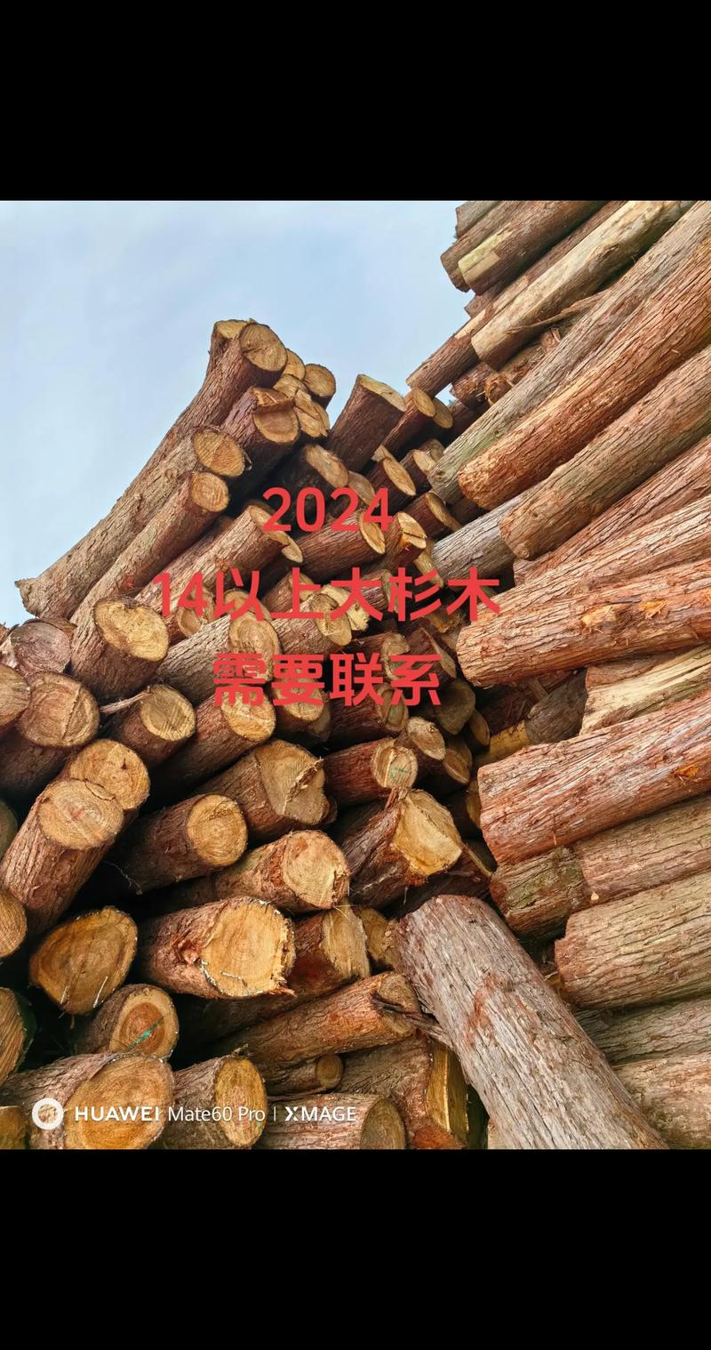 实木家具定制：打造属于你的温馨港湾